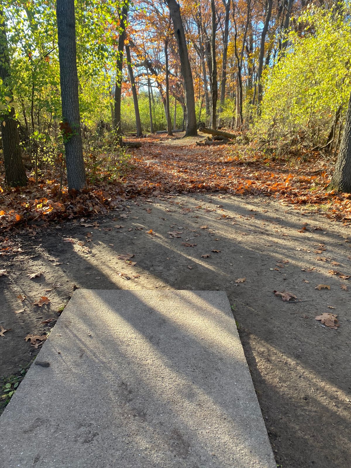 Hole 2 Tee Pad