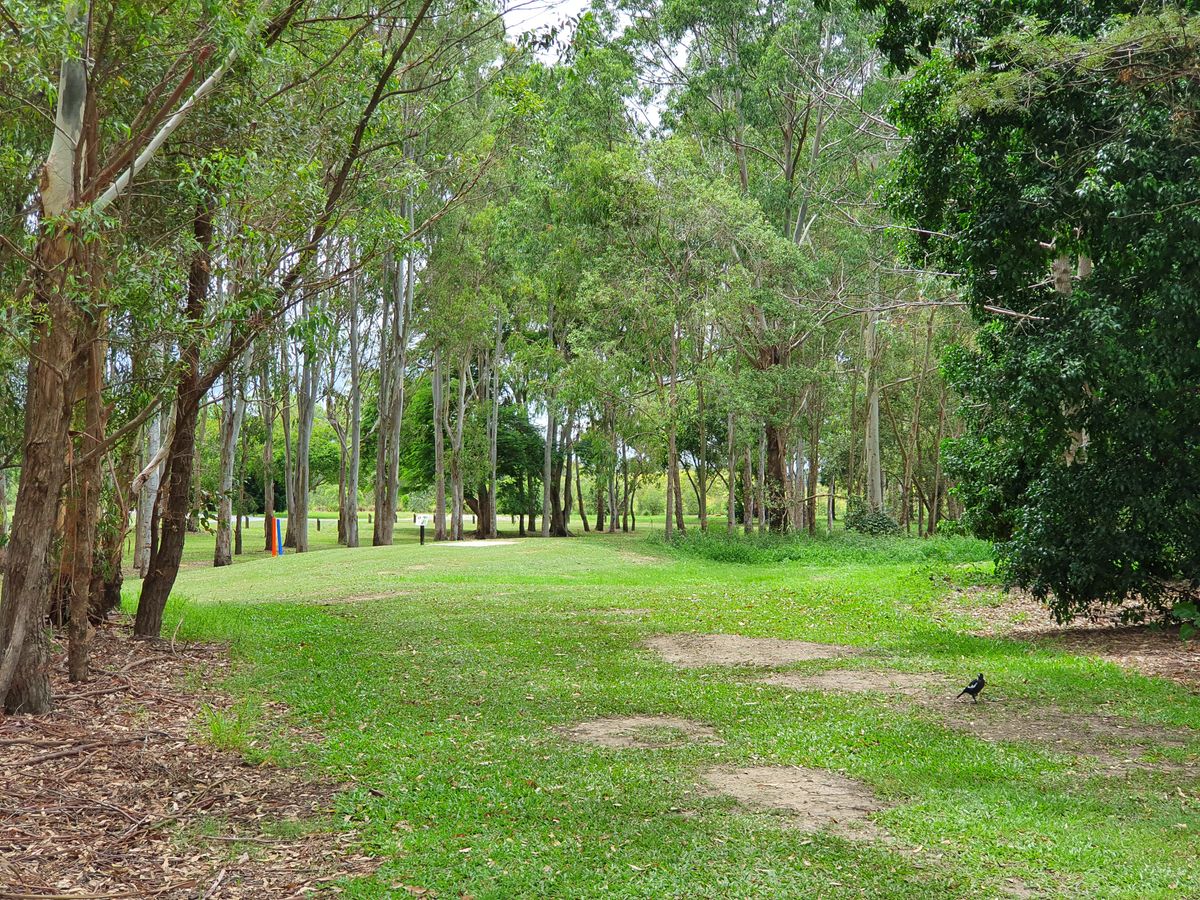 Hole 8