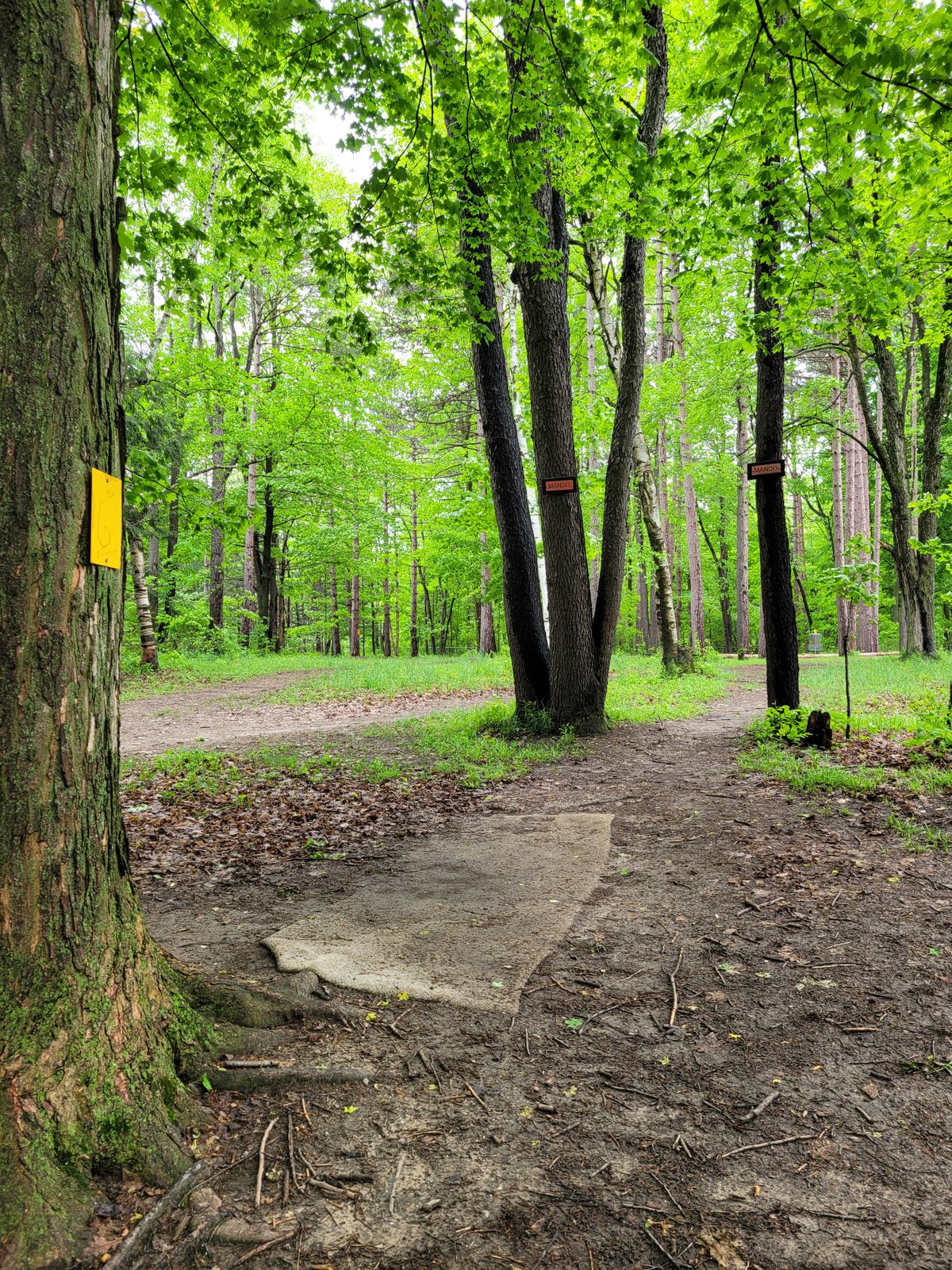 Hole #6