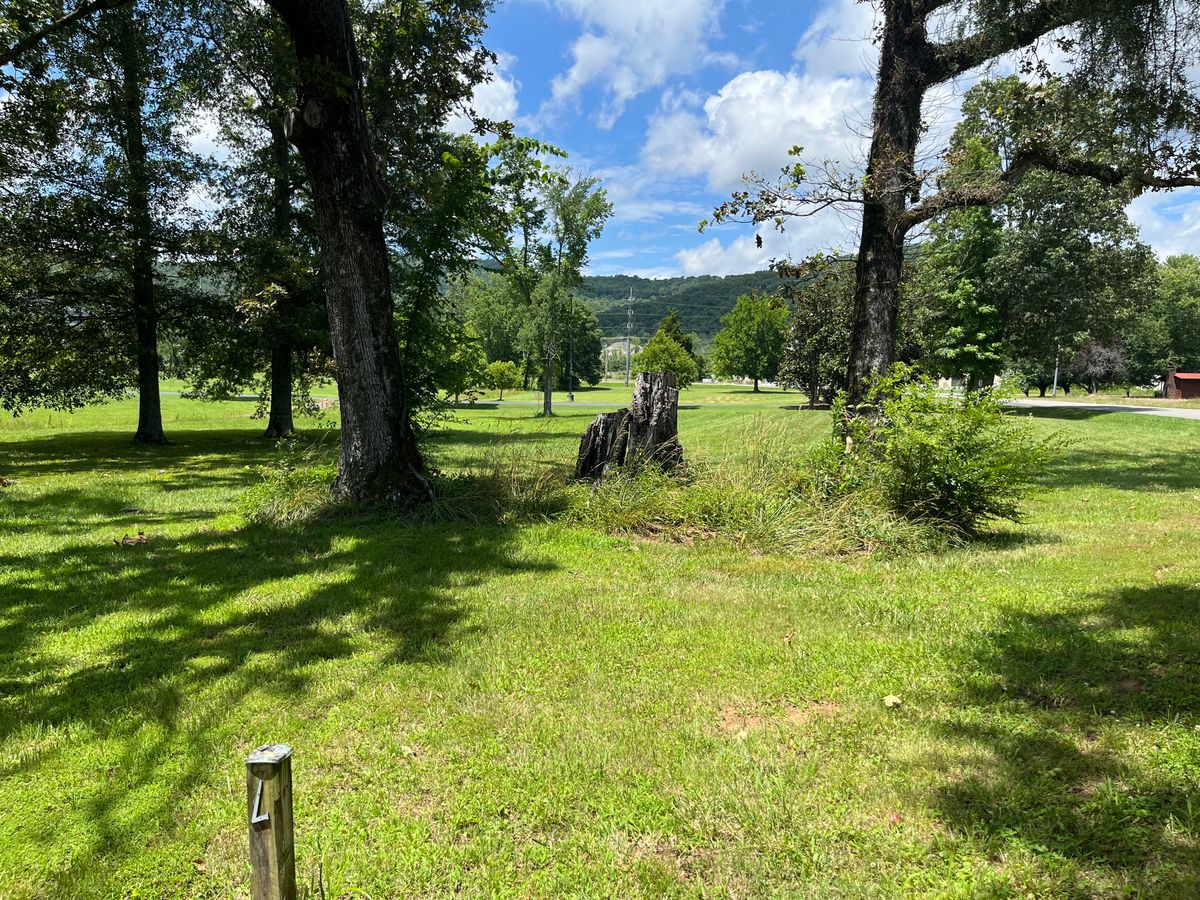 Hole 7