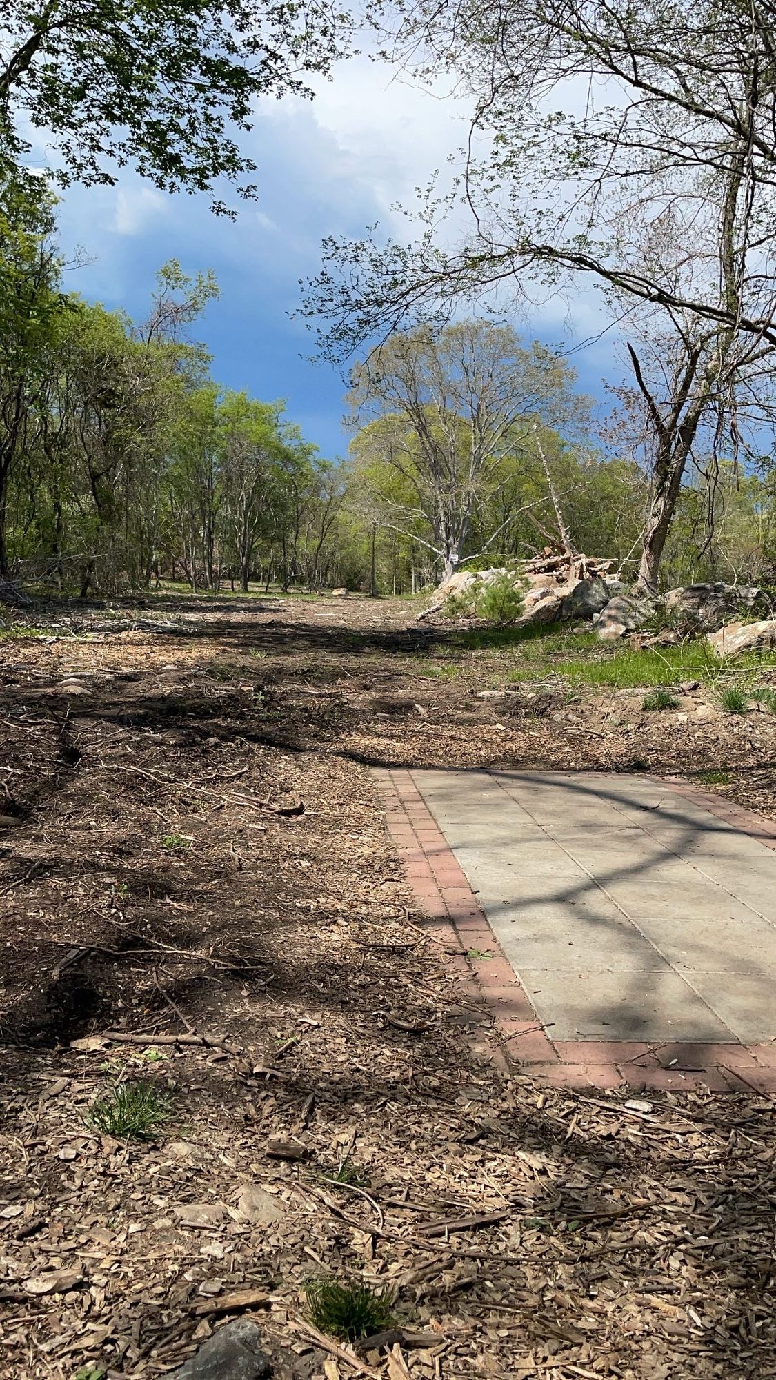 Hole 11