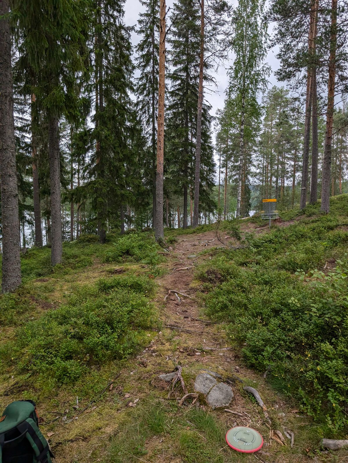 Hole 14