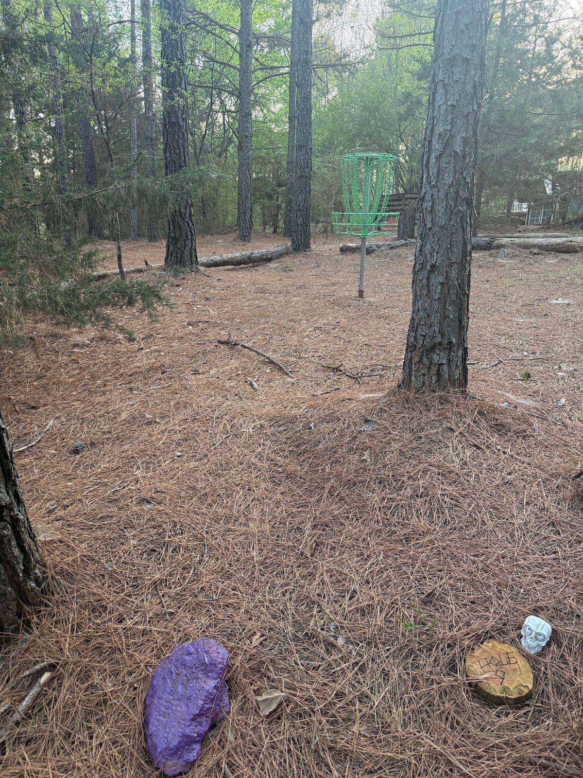 Hole 9 - Purple