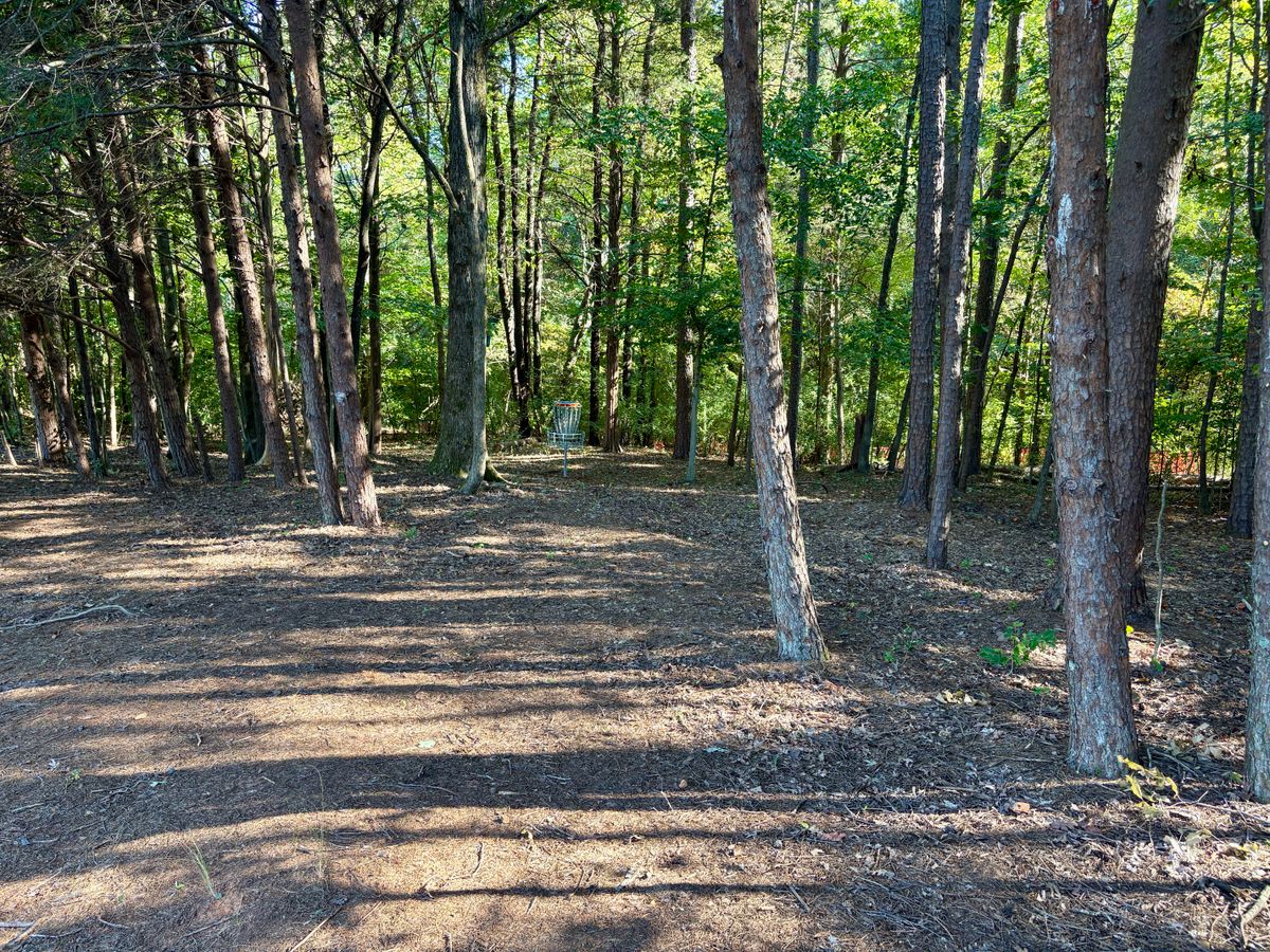 Hole 13 approach