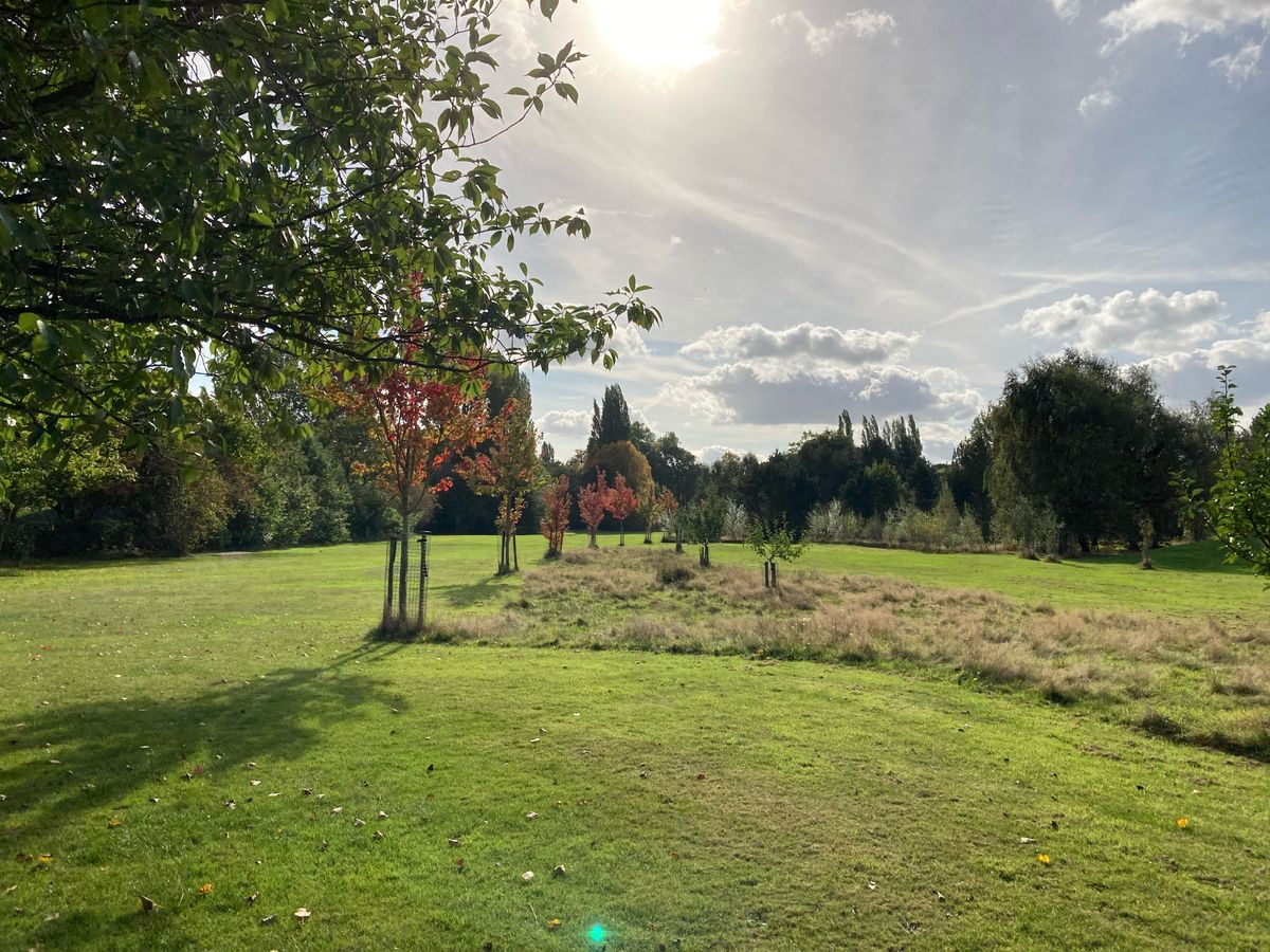 Autumn’s red maples. Looking from #5 down the rough that separates the 6th and 12th fairways.