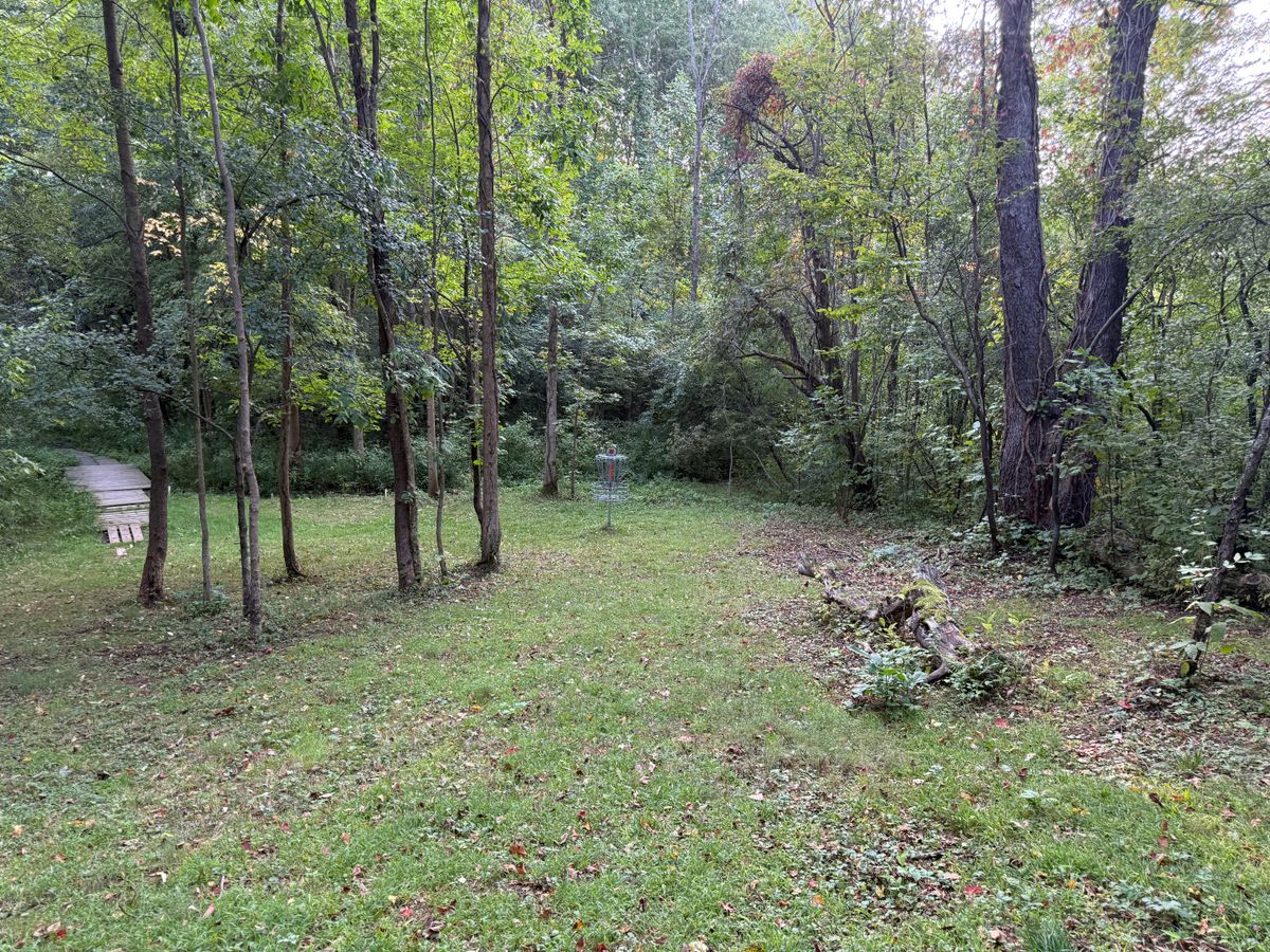 Hole 6 Green