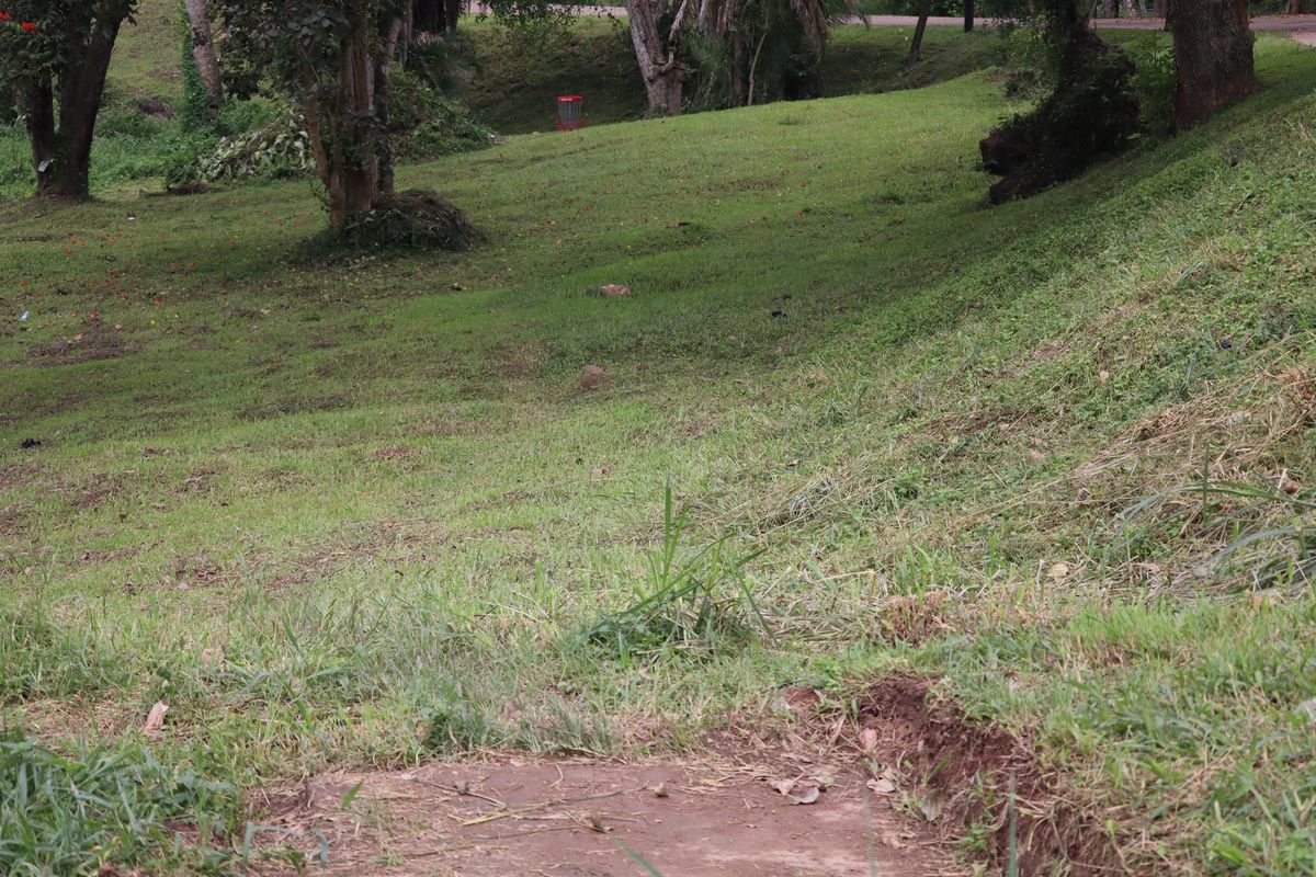 Hole 9 Short Tee