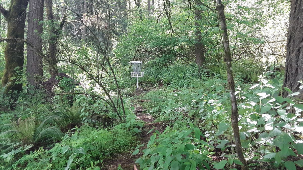 Hole 3