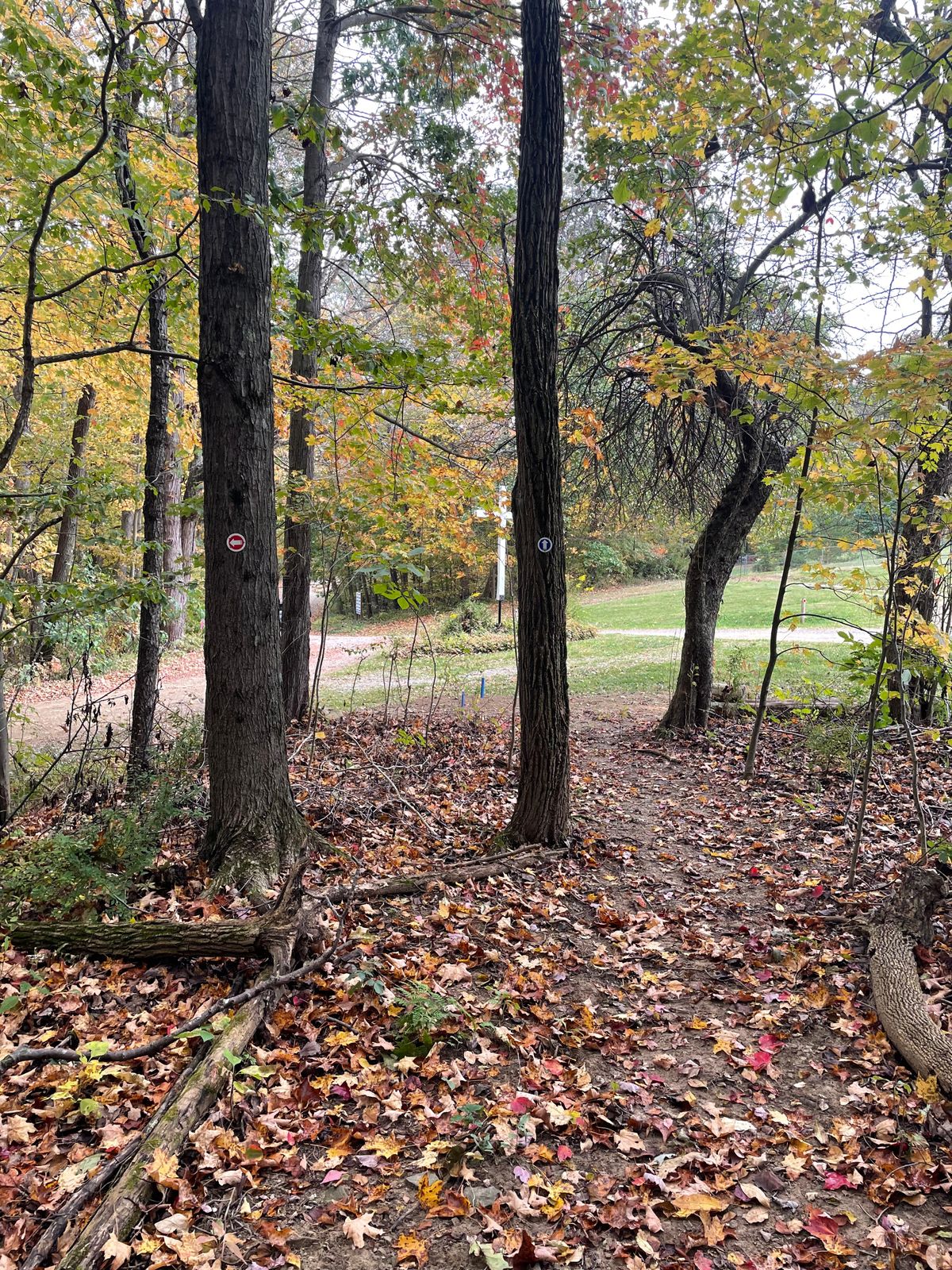 Blue Arrows indicate path to long tee. 