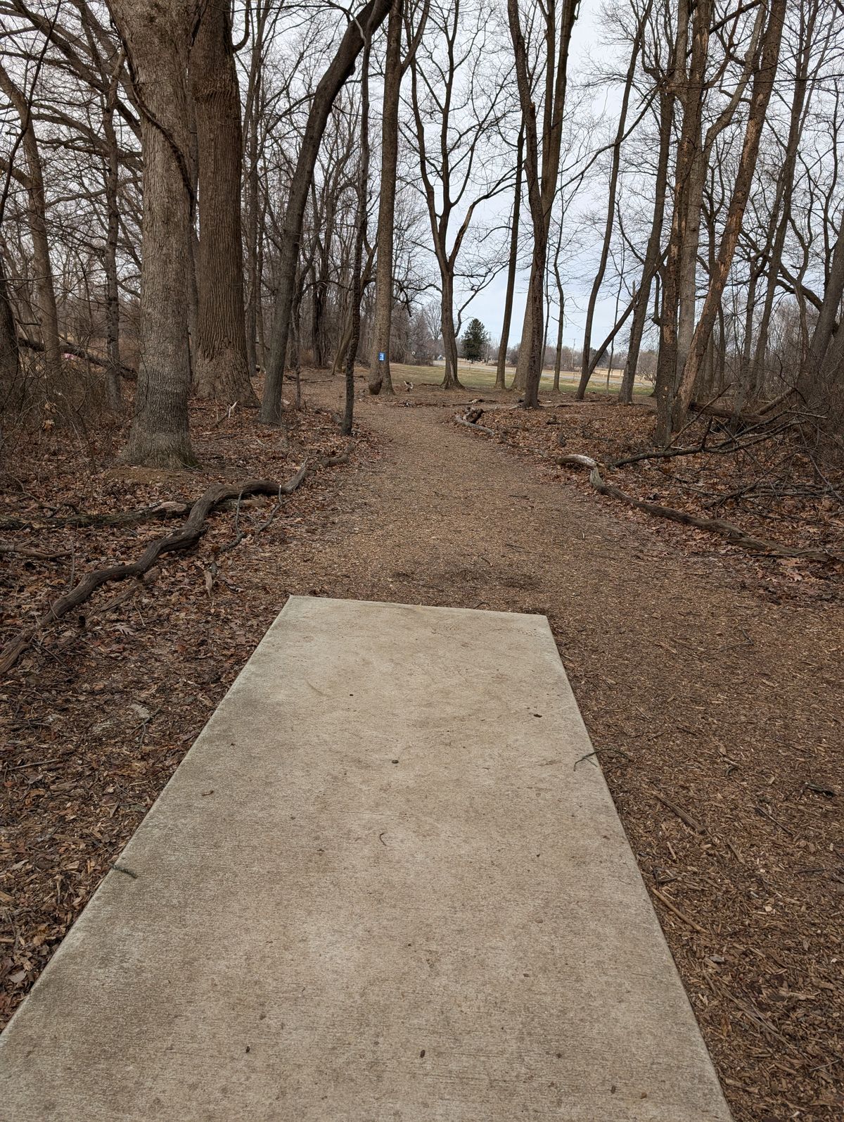 Hole 8 long Hole