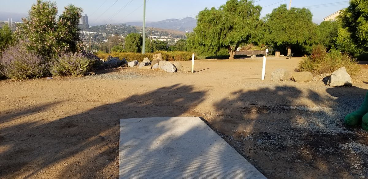 7b tee pad
