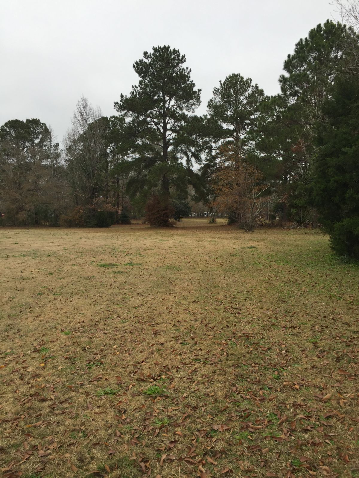 Hole 17