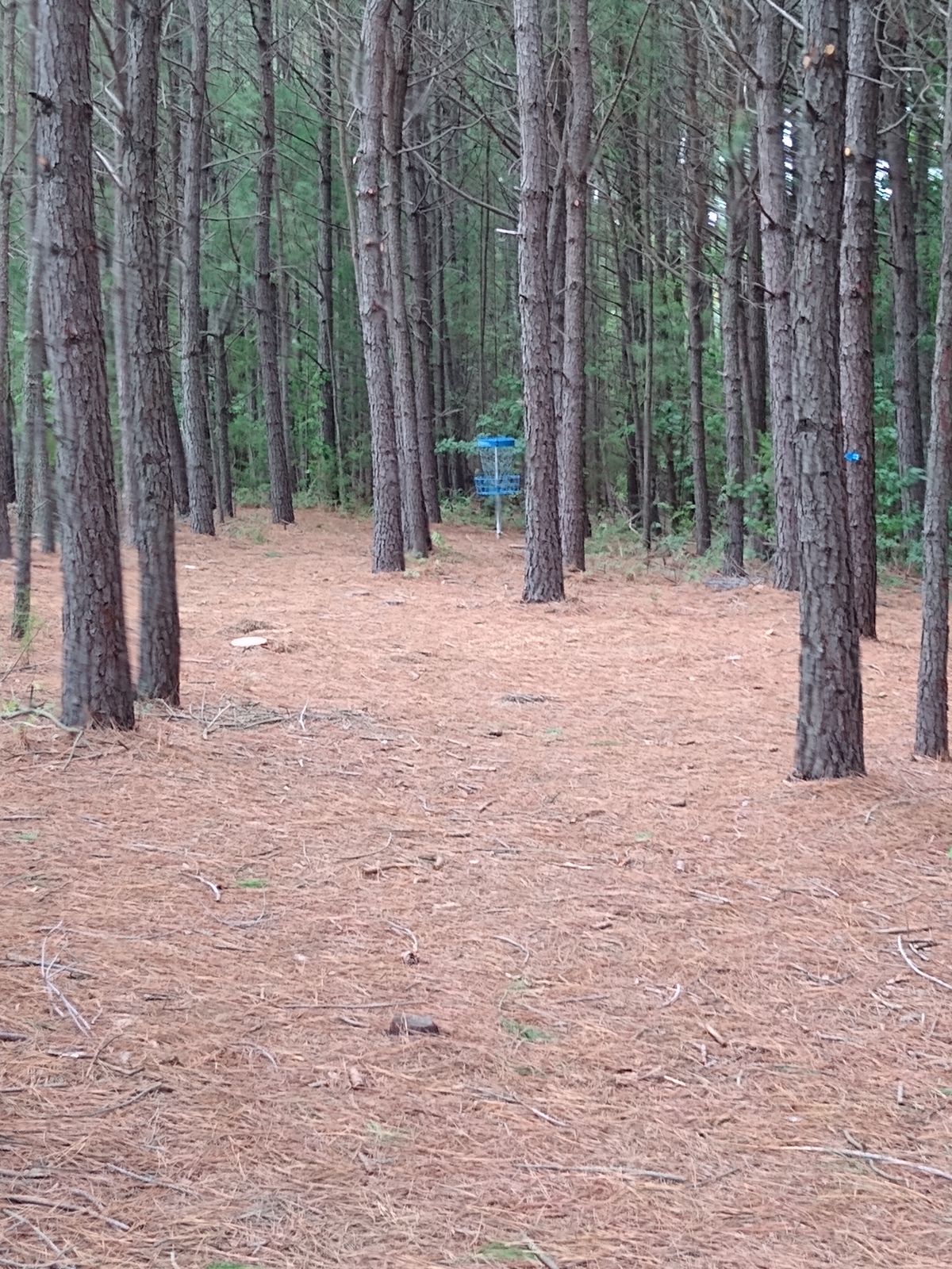 Hole 2