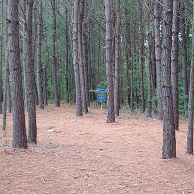 Hole 2