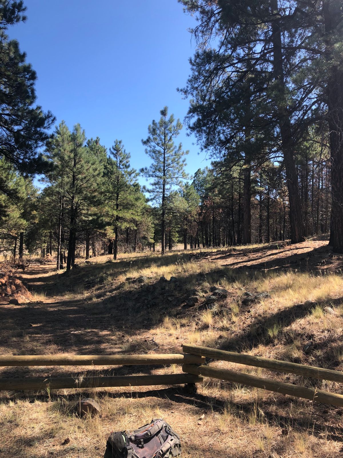 Hole 1. Tee off from this side of the fence.