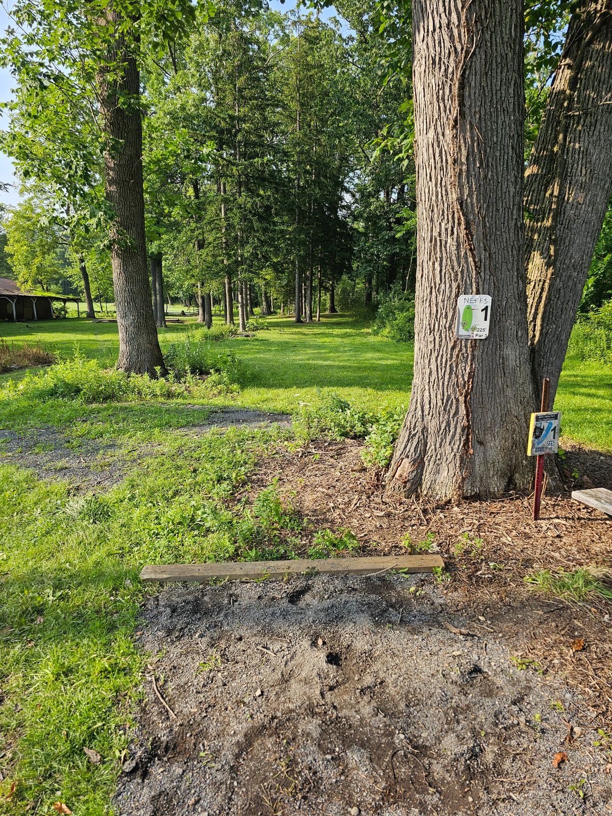 New hole 1