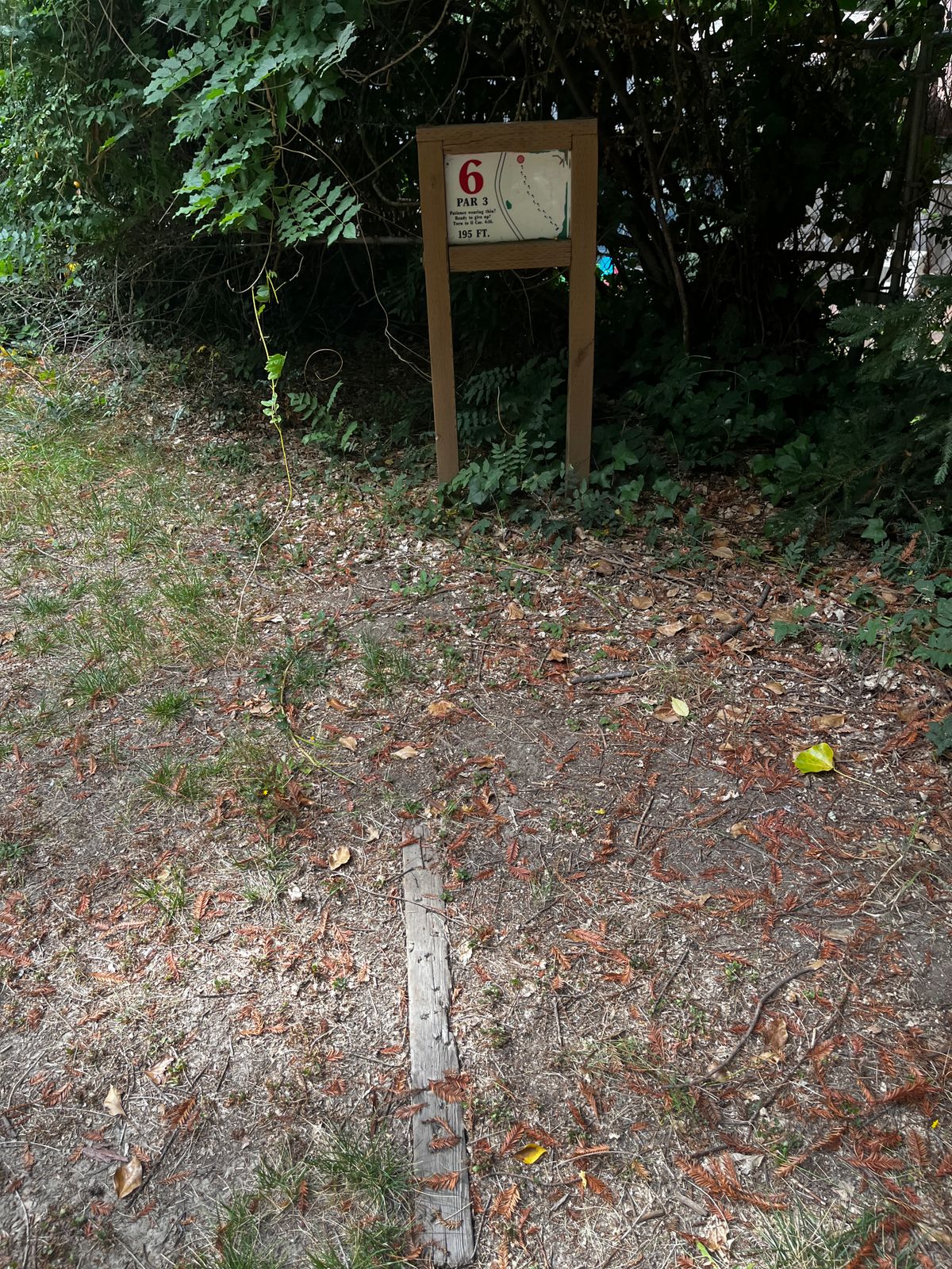Hole 6 tee