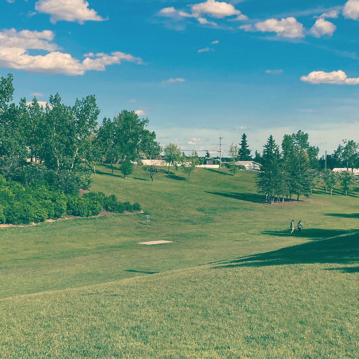 #3 Tee pad location