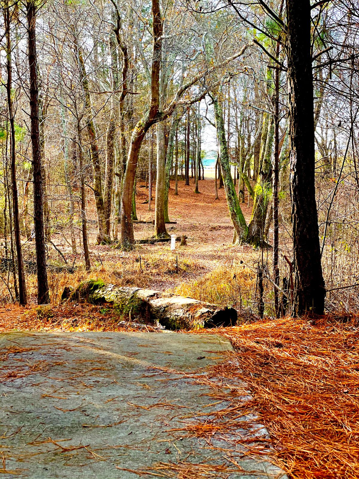 Hole 18 long tee