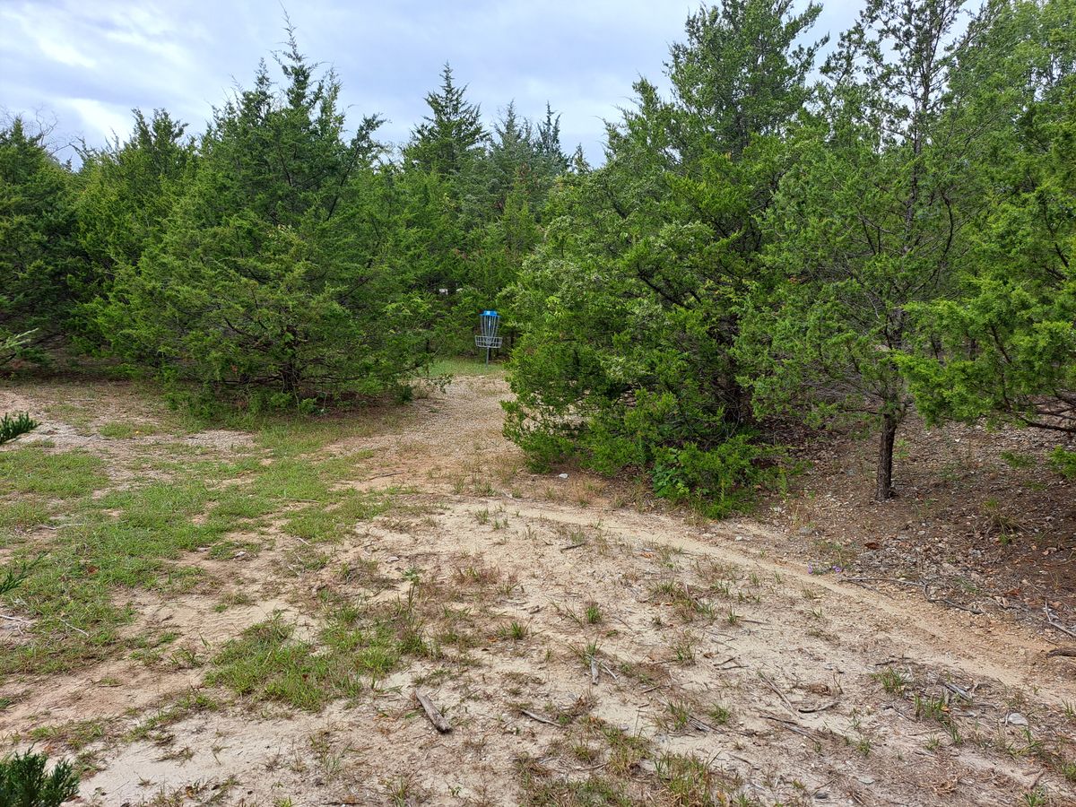 Hole 18 basket
