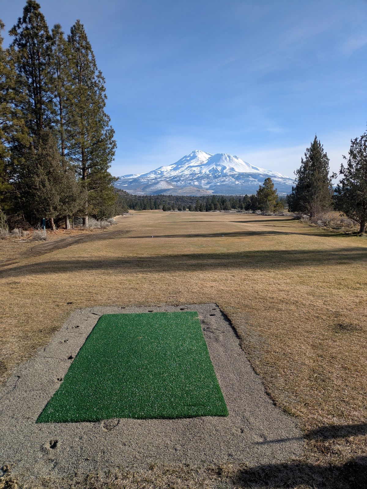 Hole 11 Tee