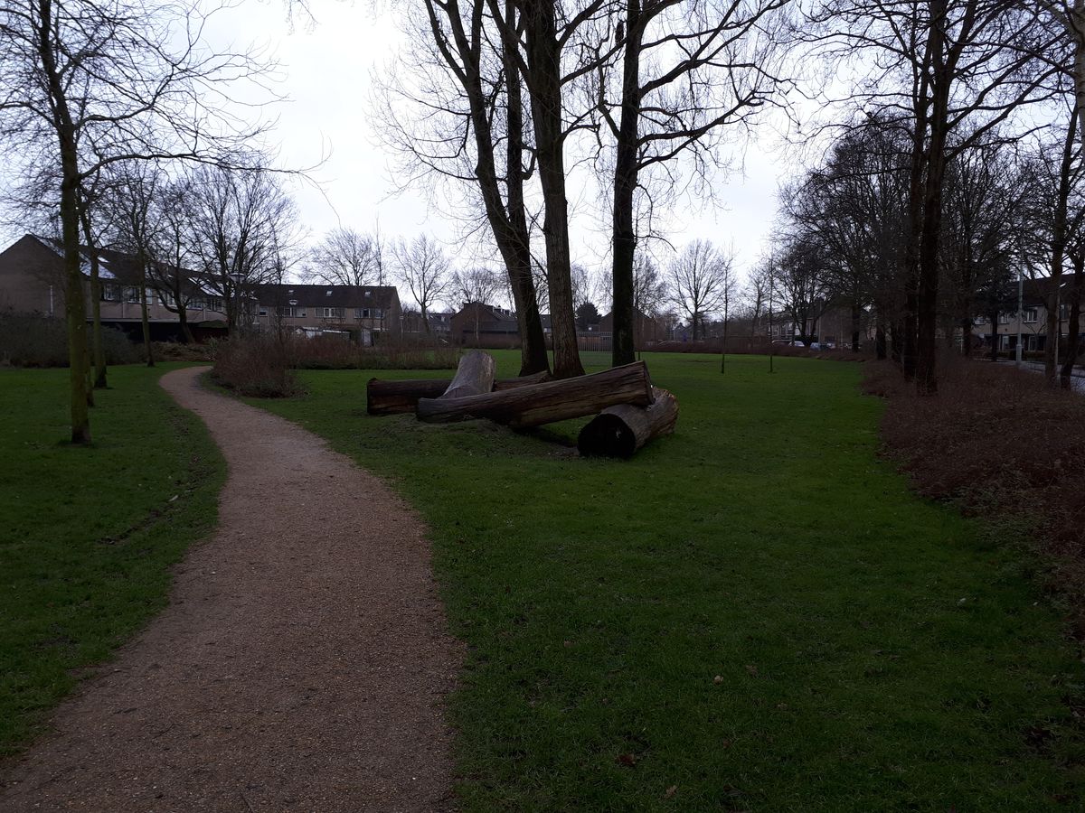 Pitch And Putt Korteweide ZuidScharwoude, Netherlands UDisc Disc