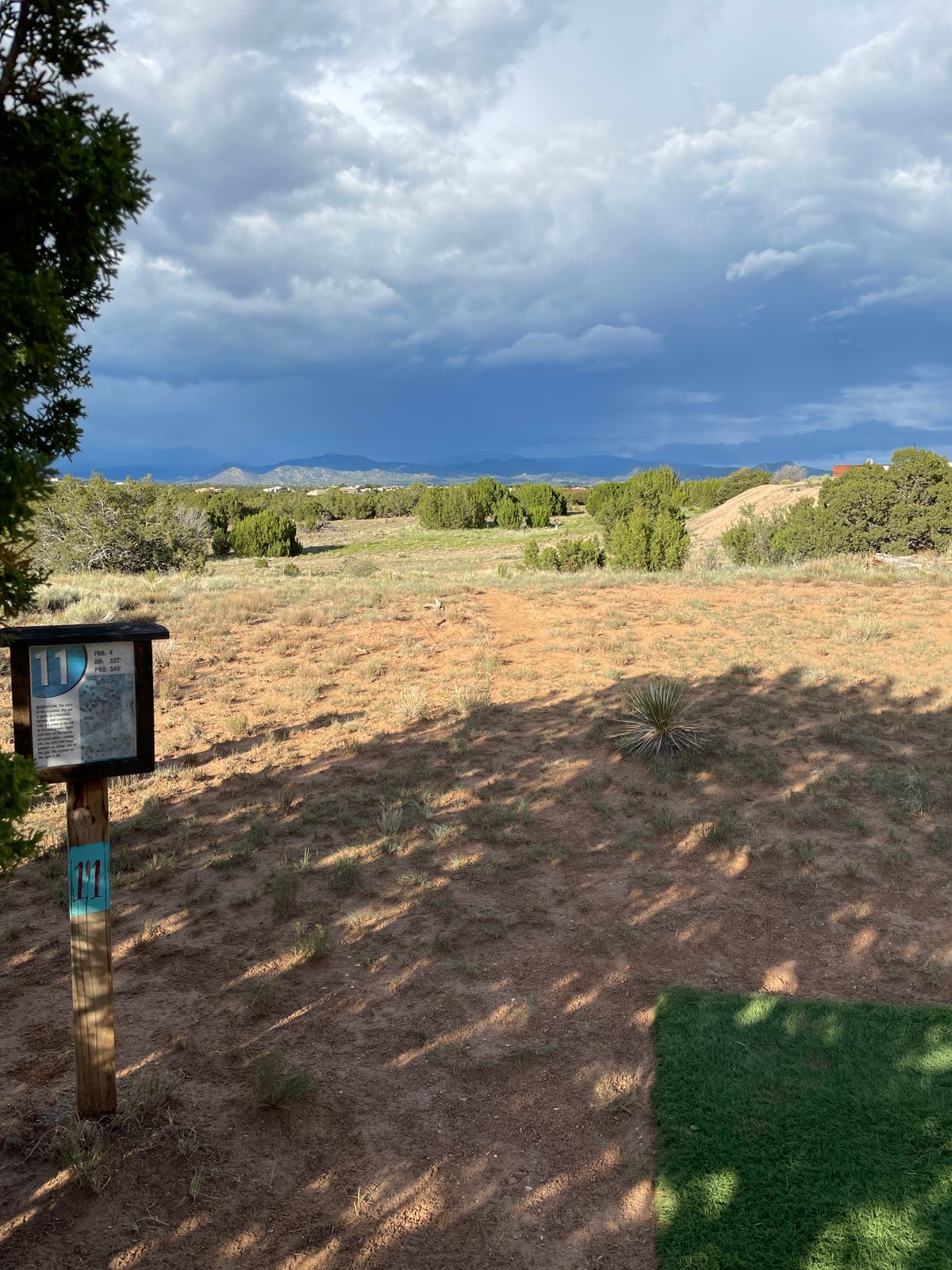 Hole 11 Pro tee pad