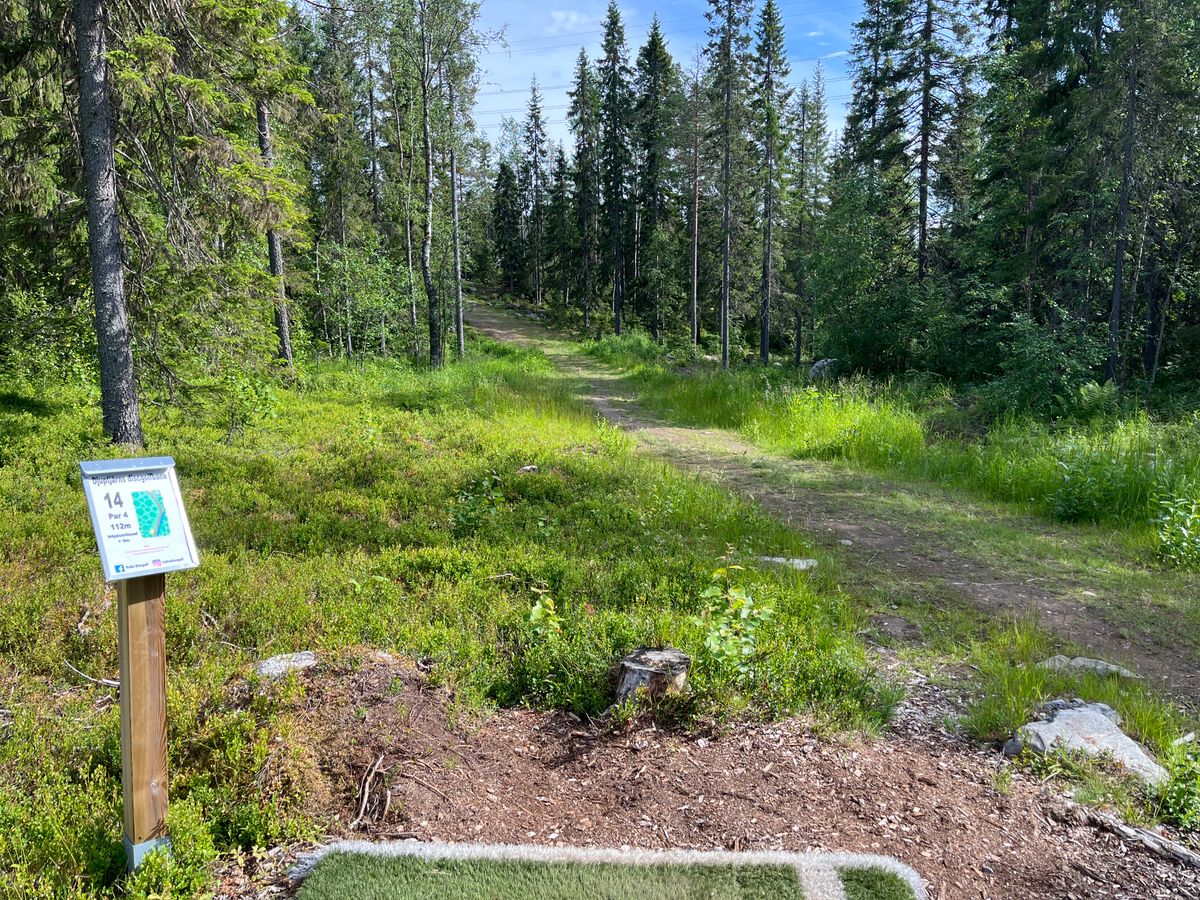 Hål 14