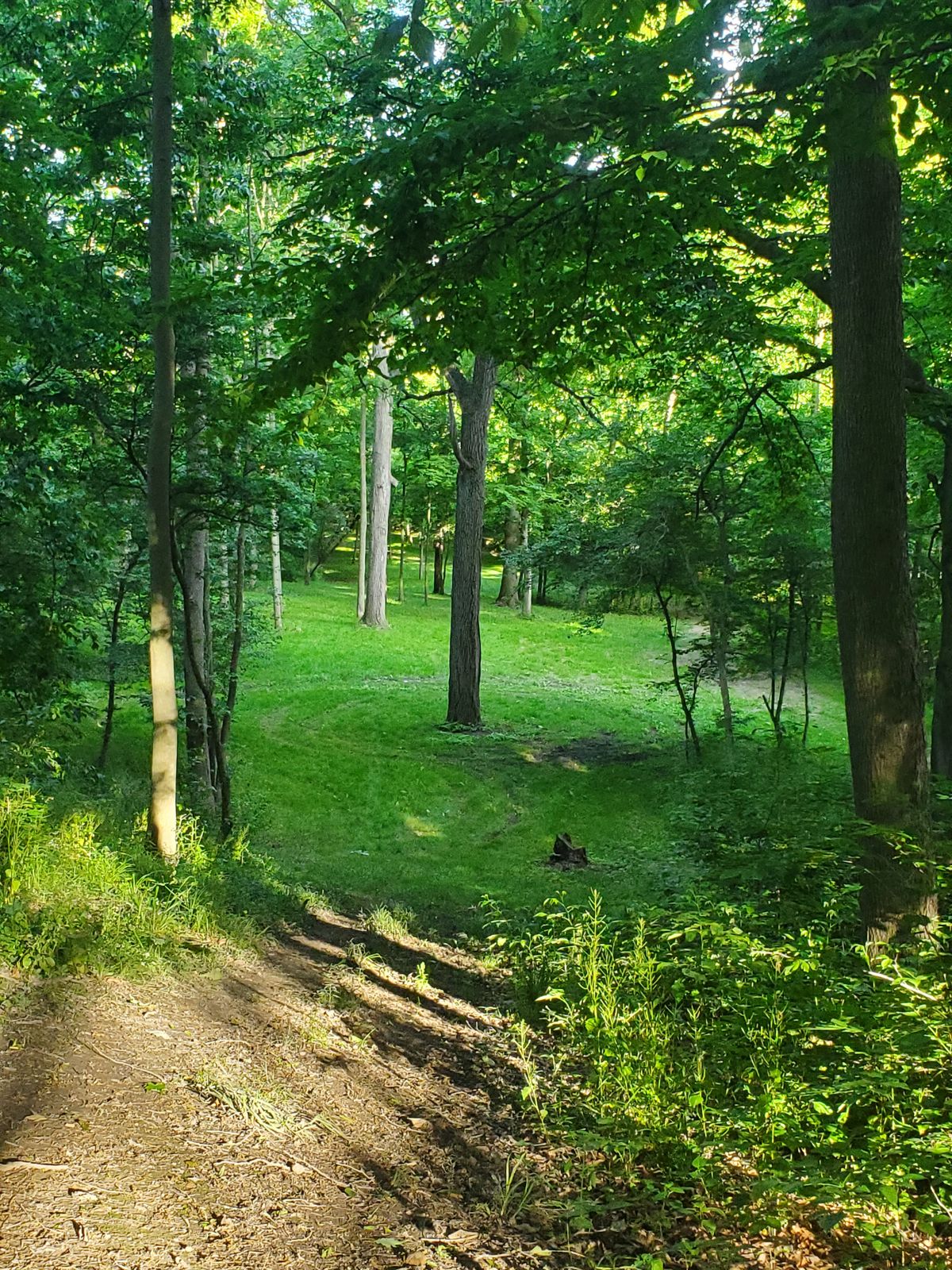 Hole 3 tee