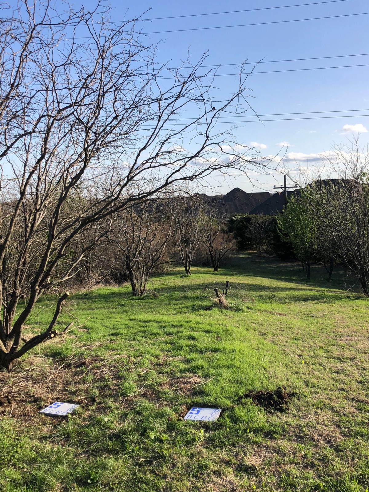 Hole 5 white tee