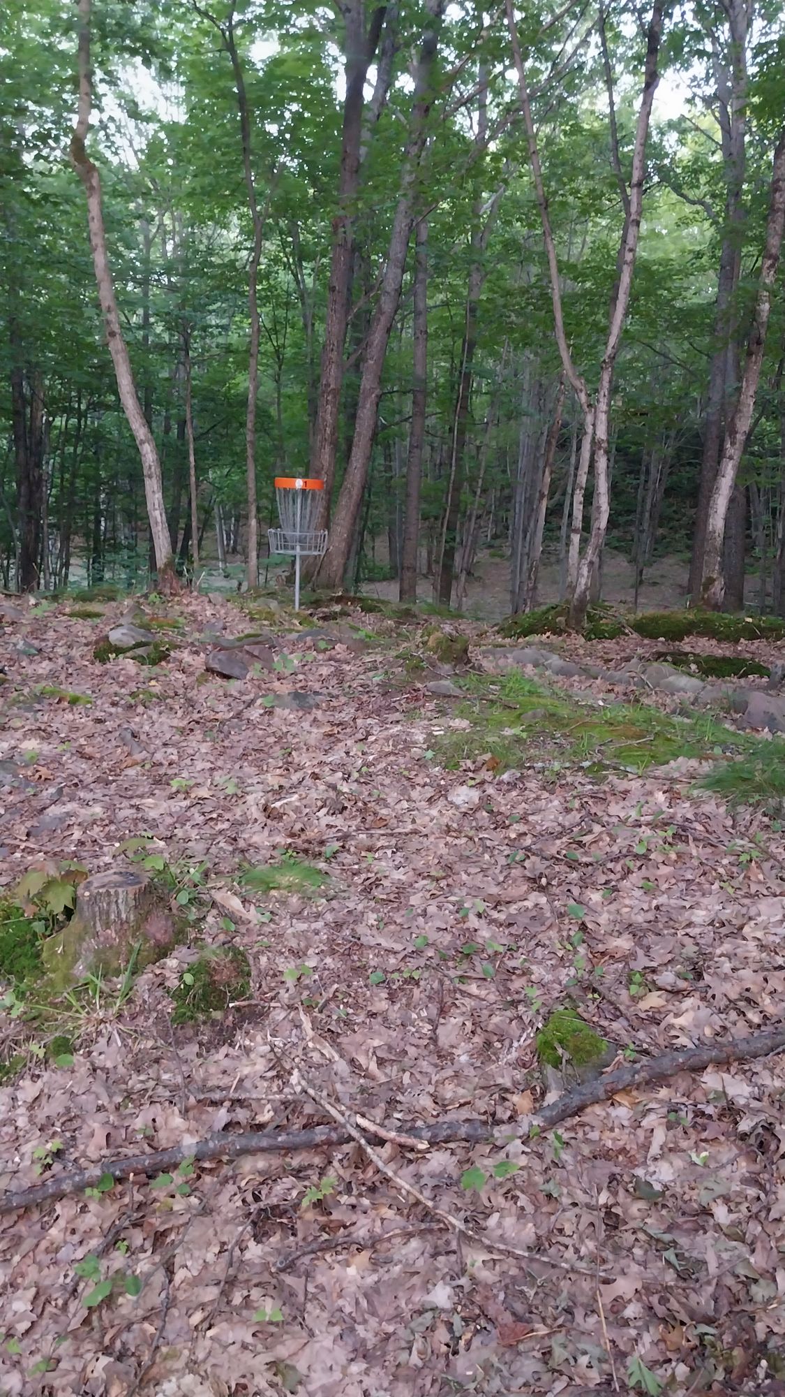 Hole 1 long
