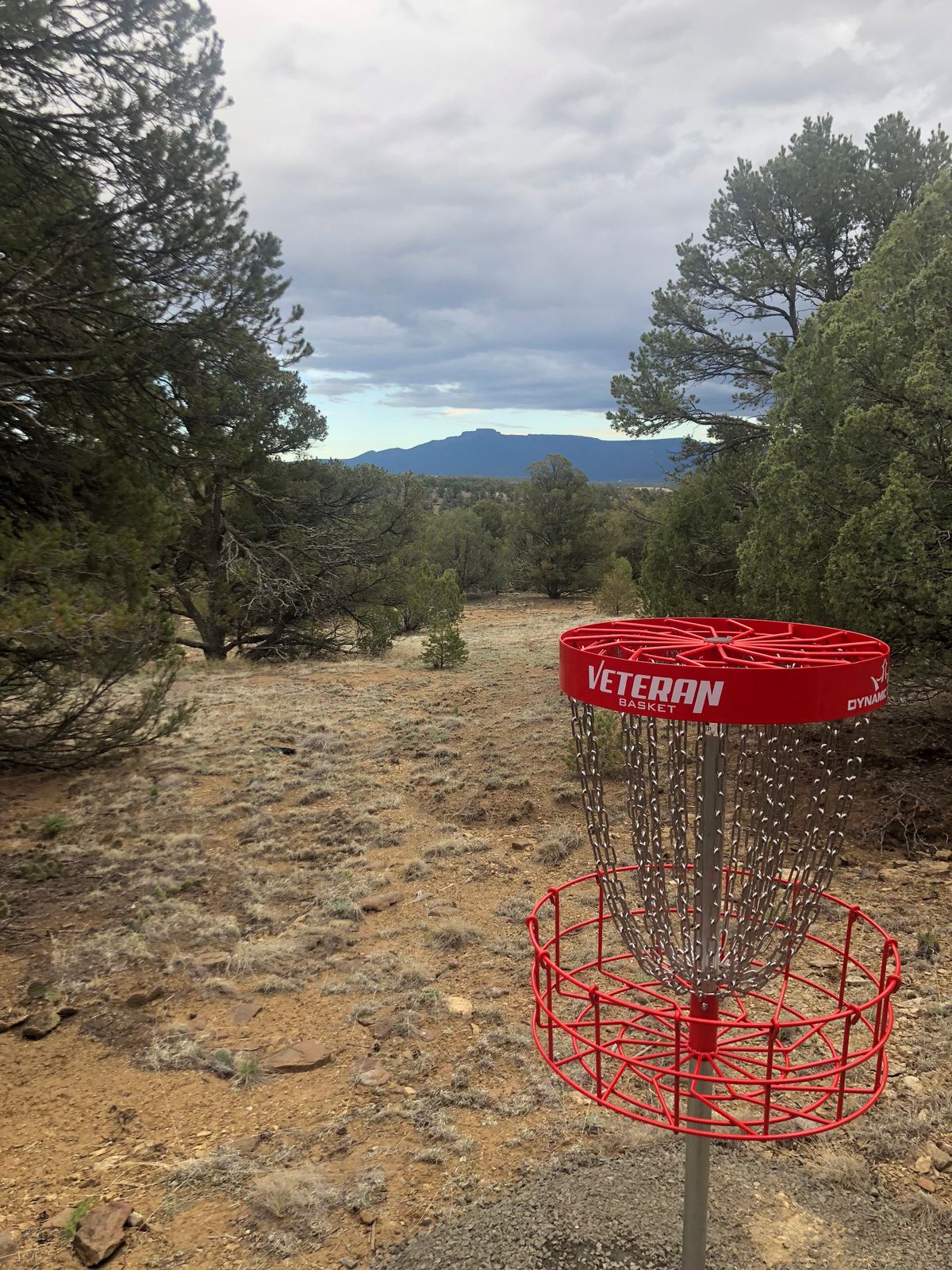 Basket Hole #7