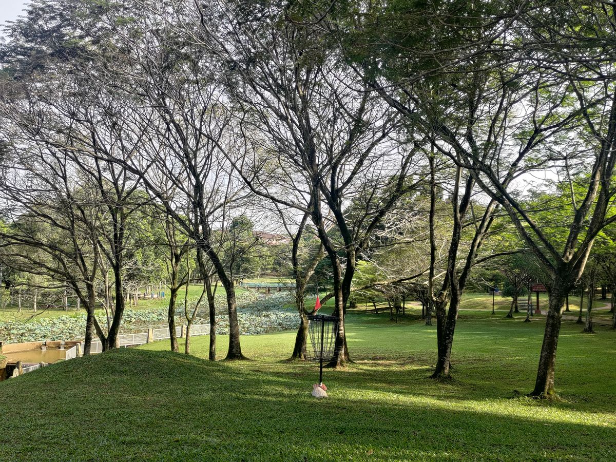 The green of hole 17. Also the final (graduation) hole for the beginner - friendly short layout.