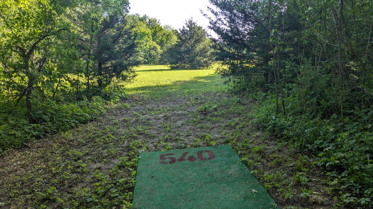 Tee #14