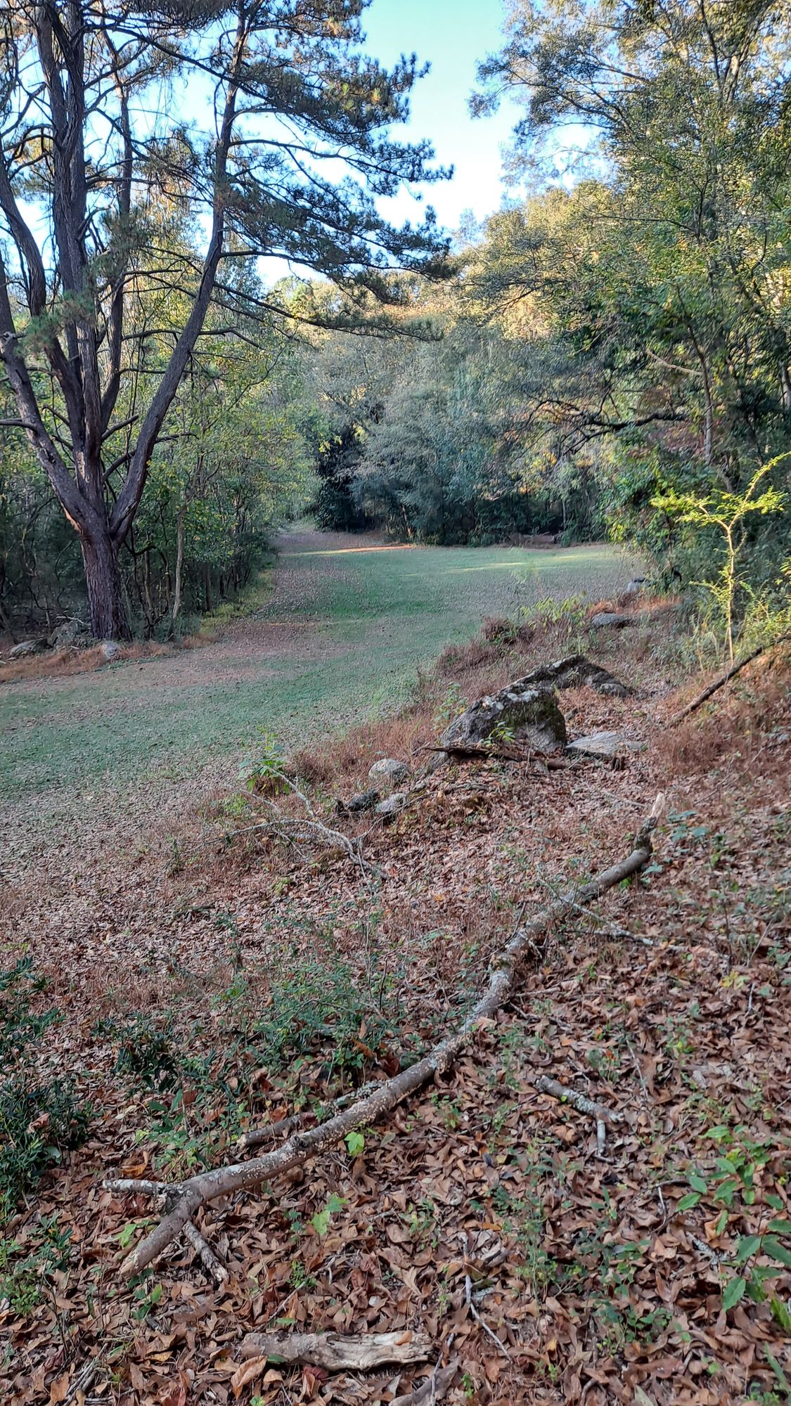 #15 fairway