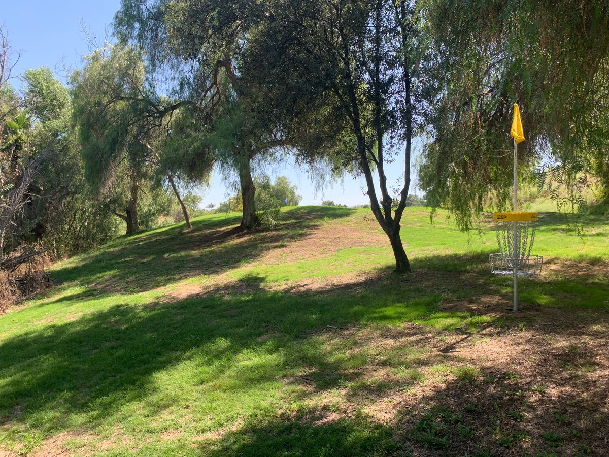 Omega Hole 9 Basket