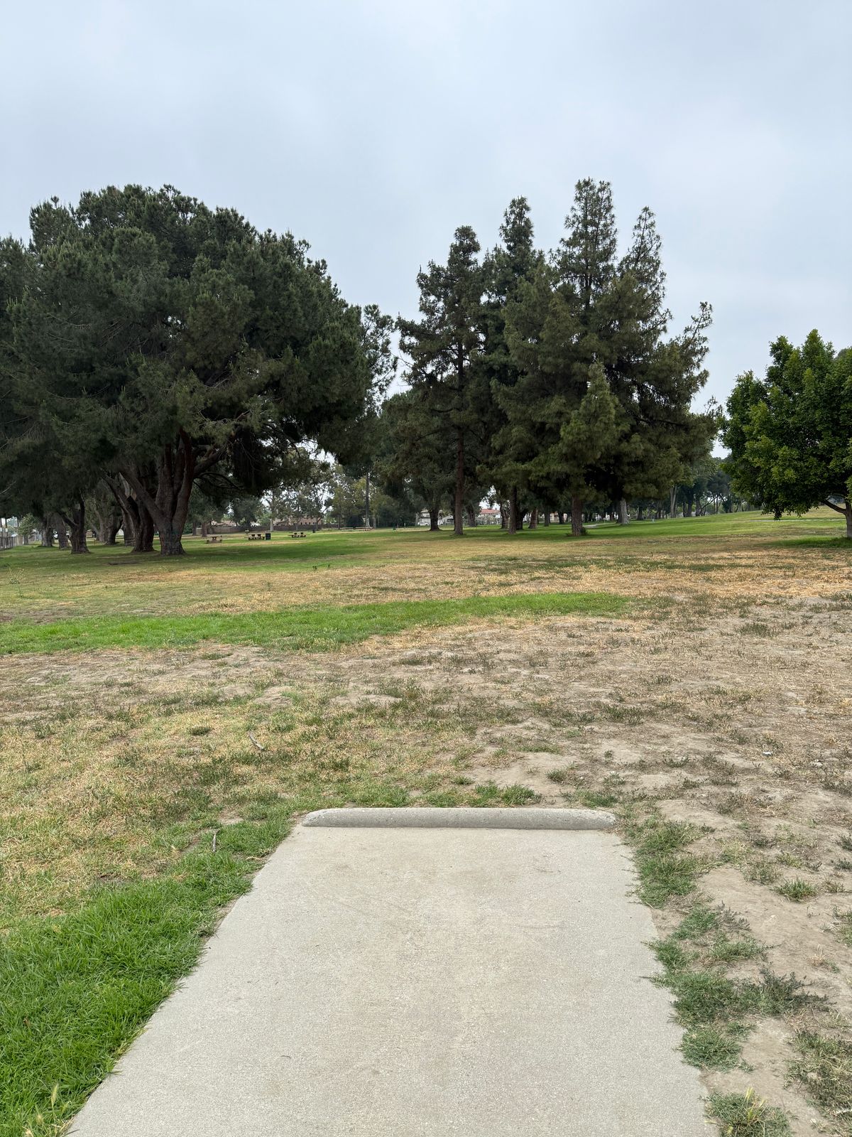 Hole 4 Tee