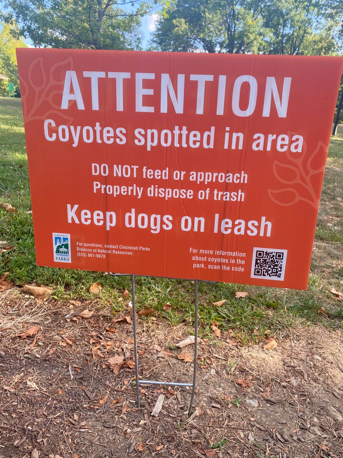 PSA