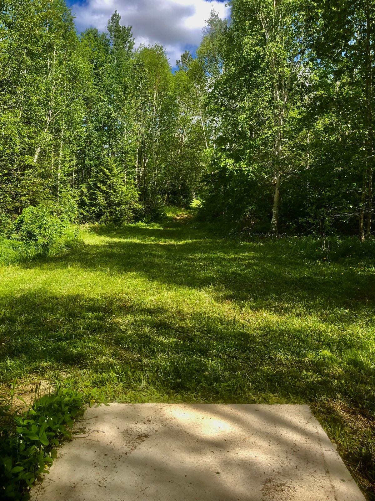 Tee pad 15