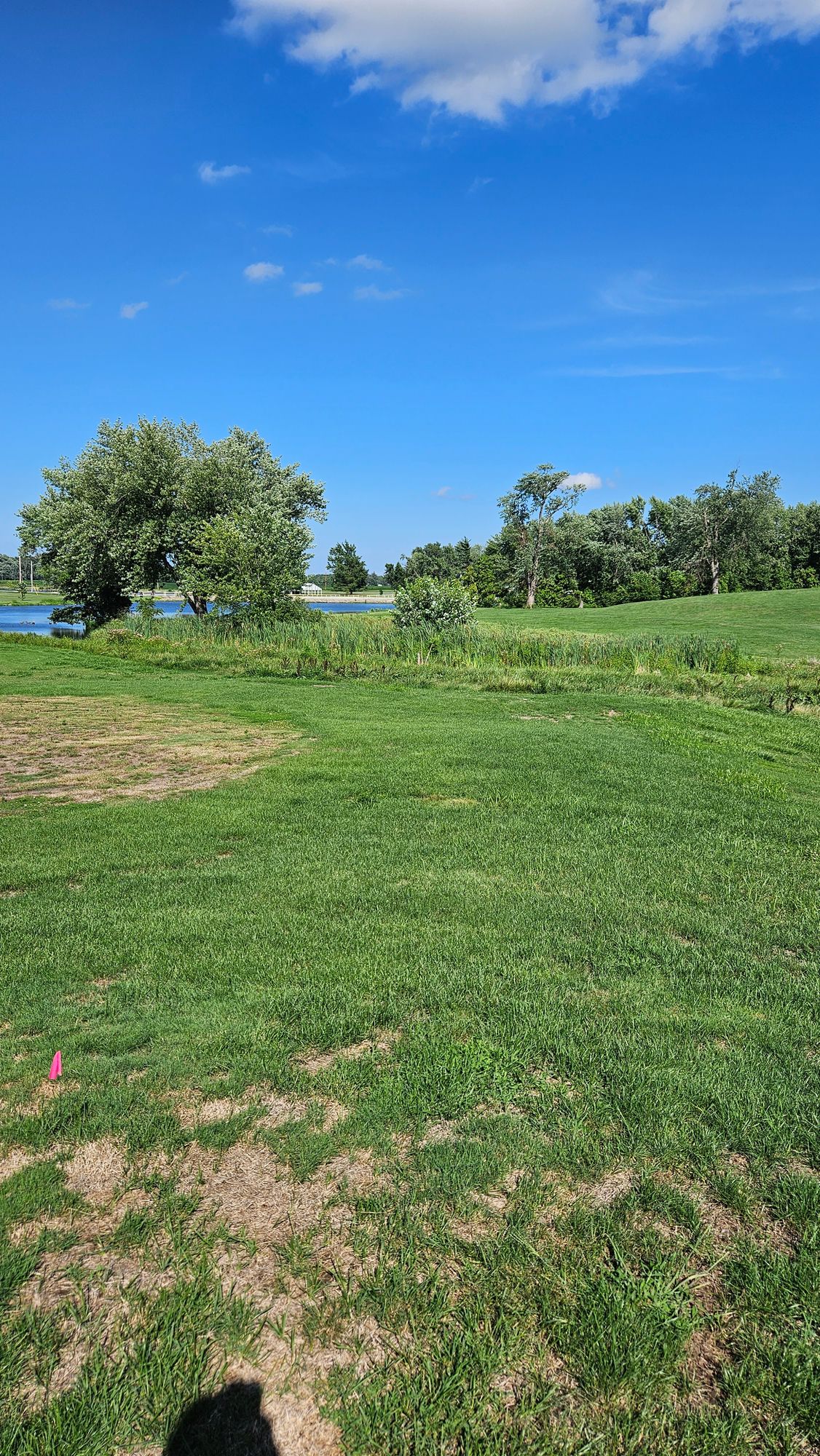 Hole 14 Tee