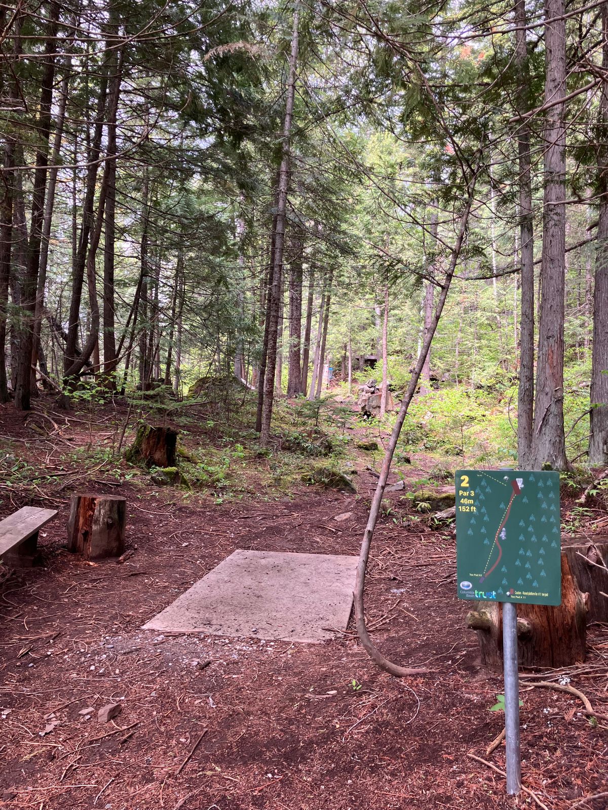 Hole 2 showing new concrete tee pad and tee sign