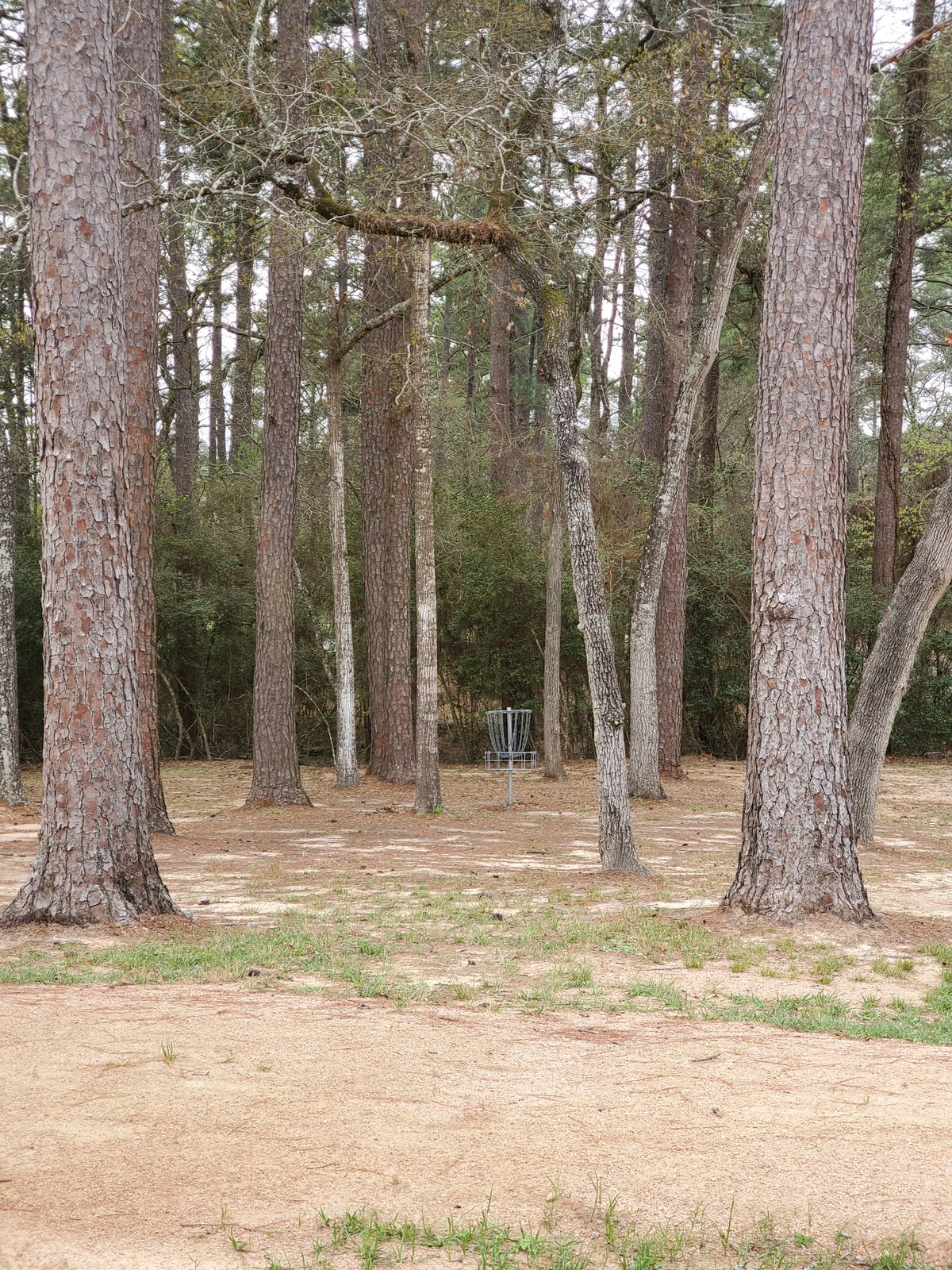 Hole 16 approach