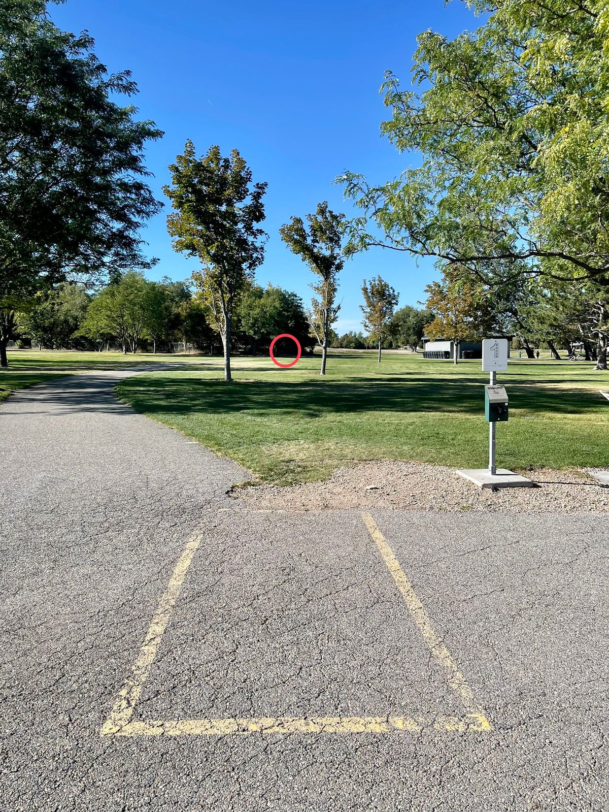 Hole 1 Short Basket