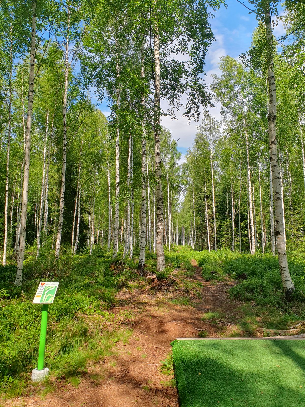 Väylä 6
Par5
240m