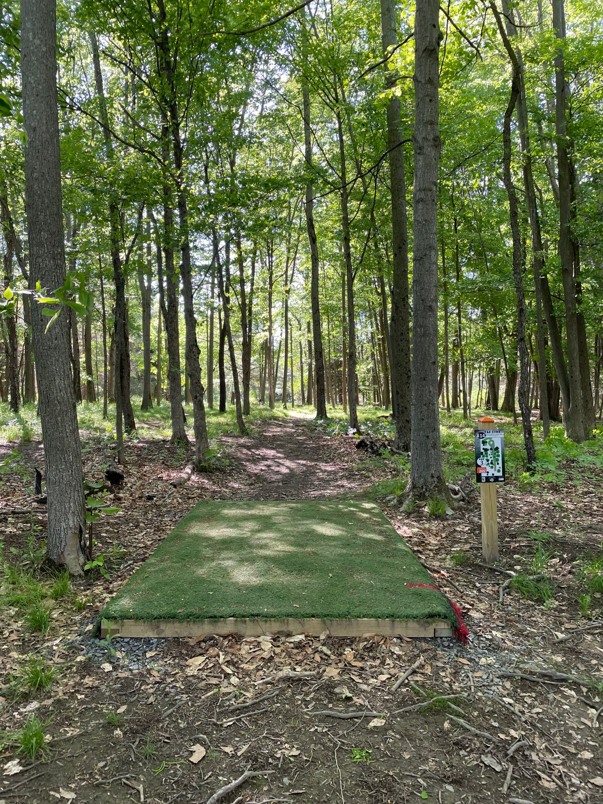Hole 14, Orange (Short) tee.
