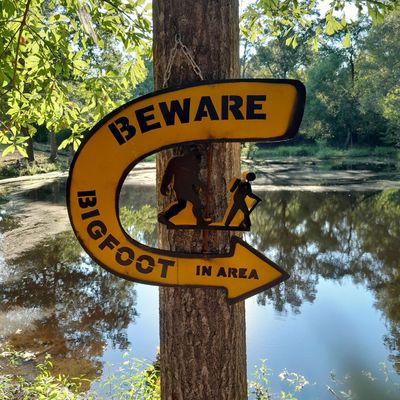 Watch out for Bigfoot!
