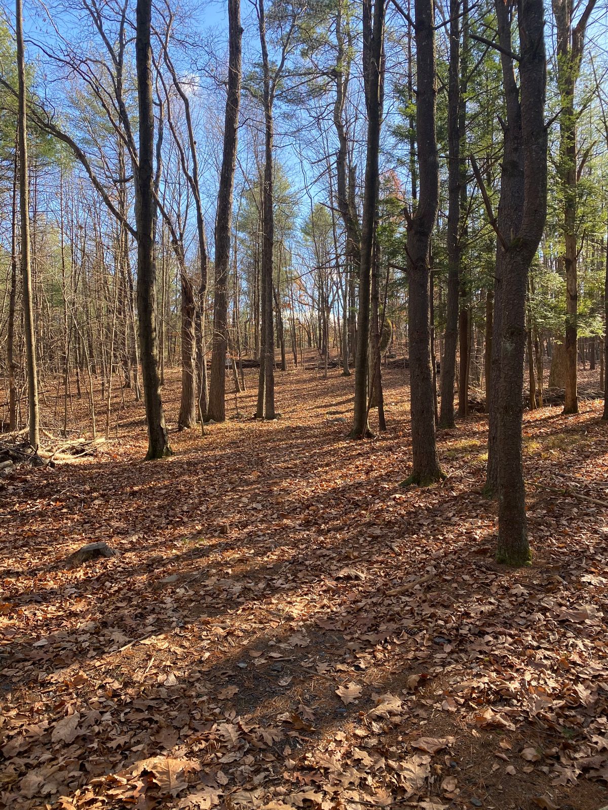 Hole 1