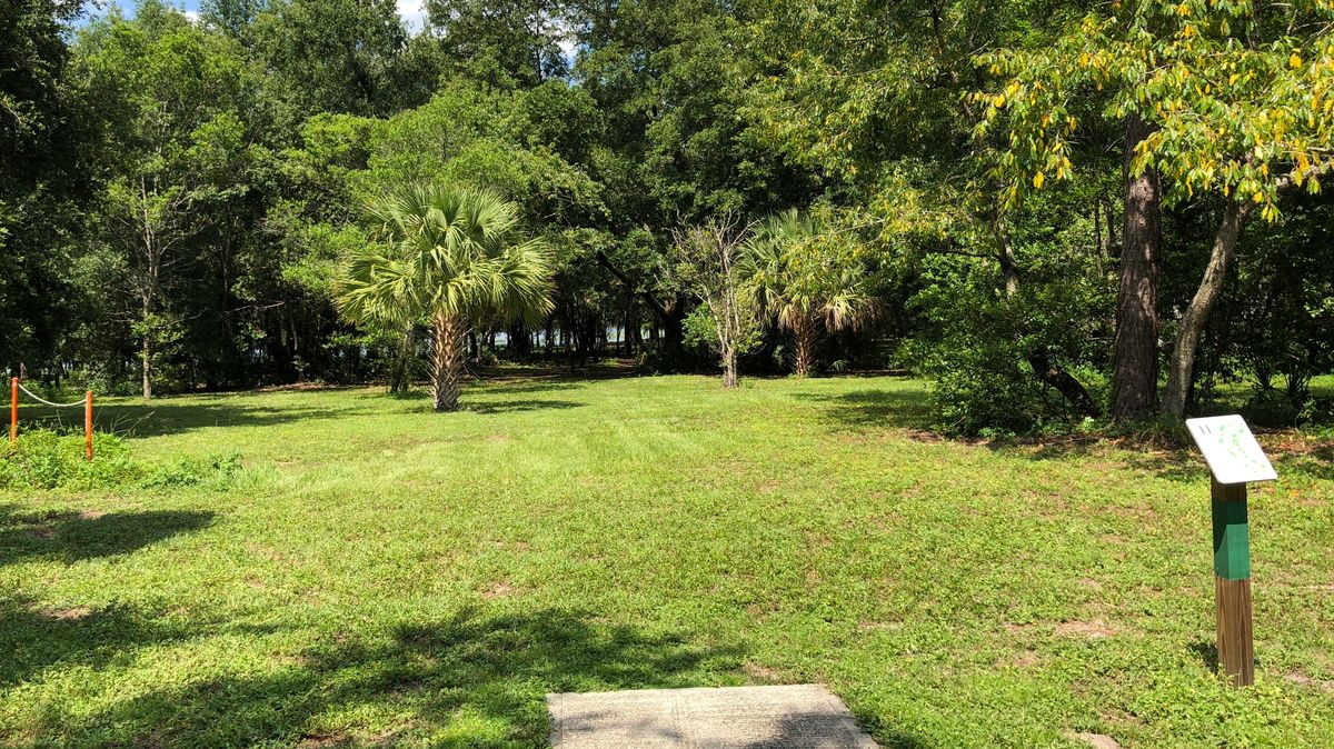 Hole 11 Green Tee