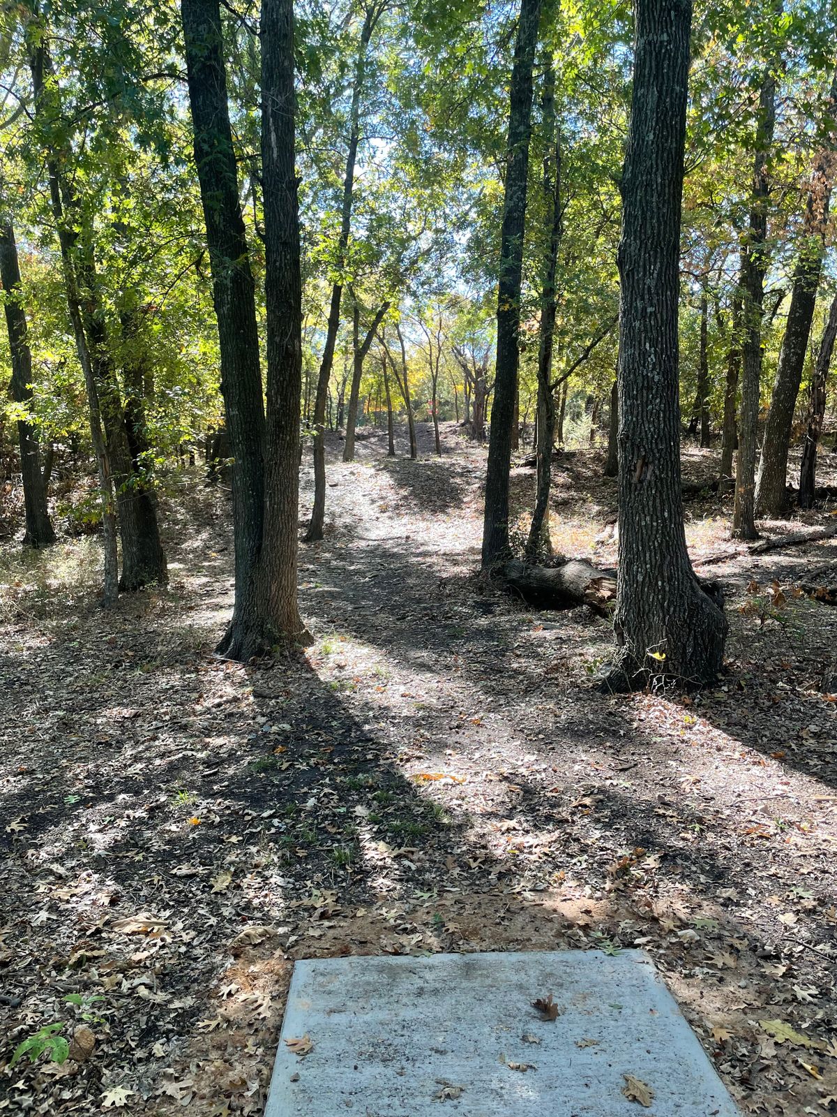 Hole 13 tee