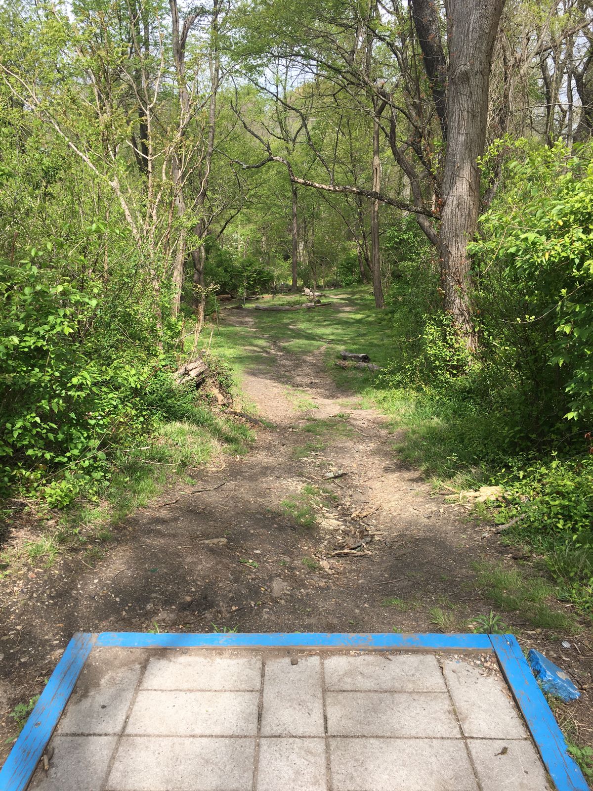 Hole 21, blue tee